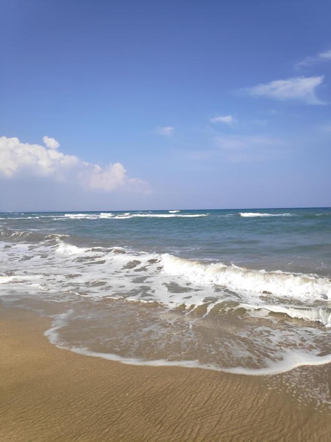 Relax&Dream Apartment Long Beach Agios Georgios  Ngoại thất bức ảnh
